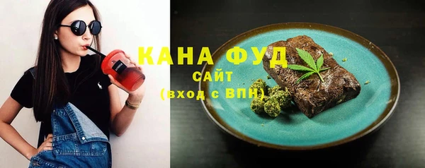 индика Абинск