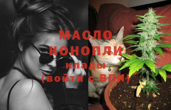 индика Абинск