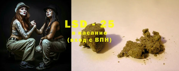 хмурый Абаза
