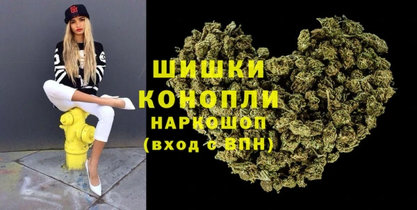 индика Абинск