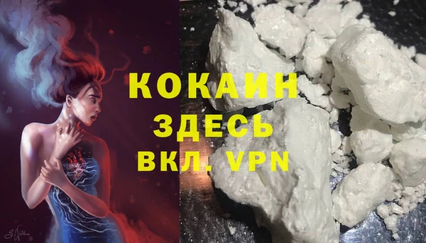 индика Абинск
