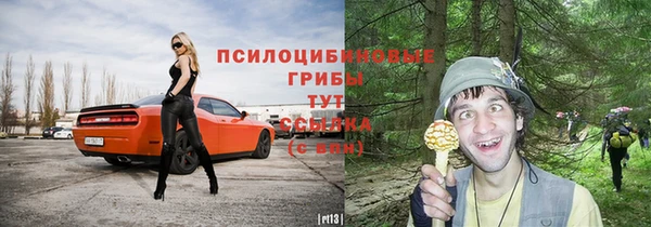 хмурый Абаза