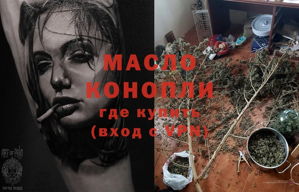 хмурый Абаза