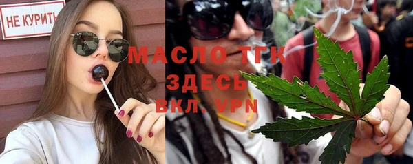 хмурый Абаза