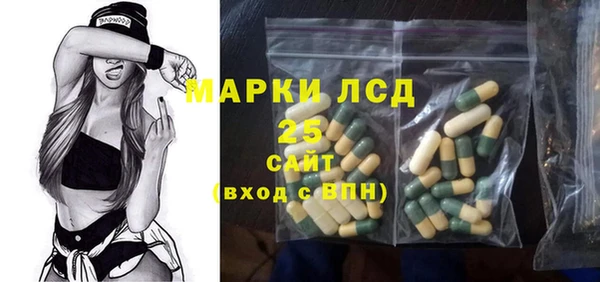 индика Абинск