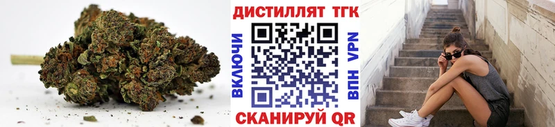 купить   Назрань  ТГК Wax 