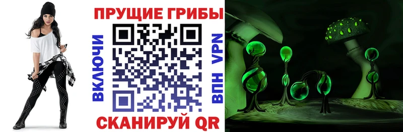 Галлюциногенные грибы ЛСД Назрань