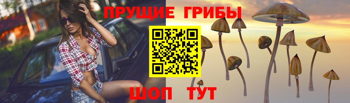 Галлюциногенные грибы мухоморы Назрань